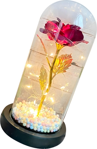 Schützende Glaskuppel