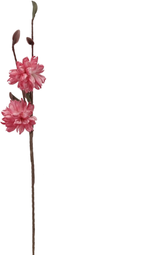 Maintenance-free decoration all year round
