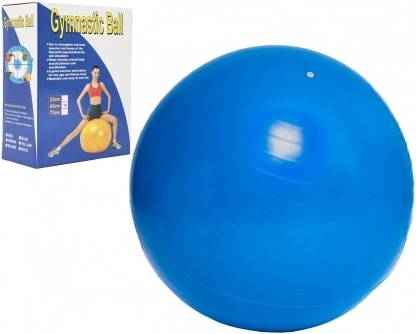 Gymnastiekbal 65 cm voor oefeningen en revalidatie