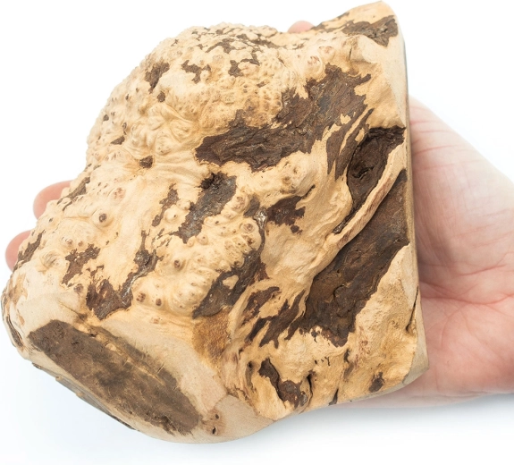 Einzigartiges Stück aus nachhaltigen Quellen