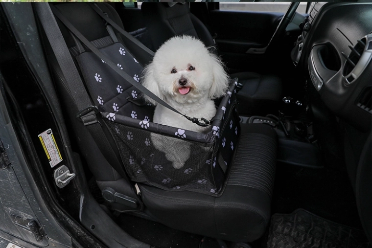 Pet safety and comfort
