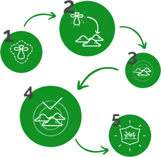 Simple step-by-step application