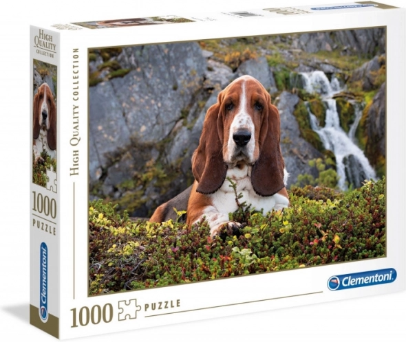 Basset Hound motif in nature