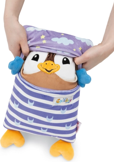 Reversible design for day and night