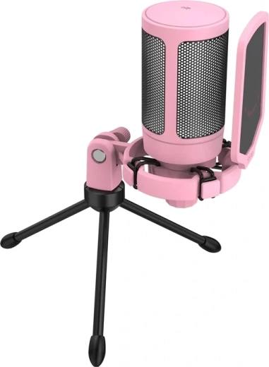 Filtre anti-pop pour une voix plus propre et moins de bruits parasites