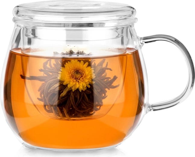 Glass Mug with Infuser and Lid 400 ml