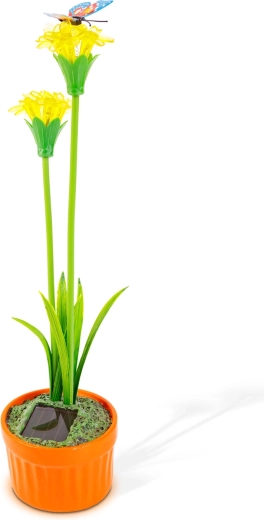 Vrolijke bloemendecoratie