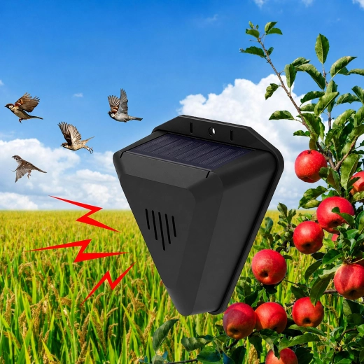 Crop protection from birds