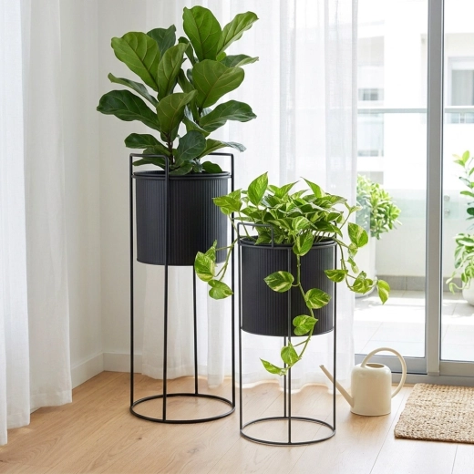 Set of two stands for striking arrangements