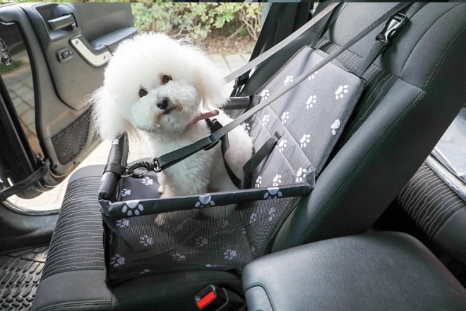 Portable Car Seat Carrier for Dogs and Cats