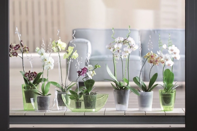 Elegante und unauffällige Stütze für Blüten