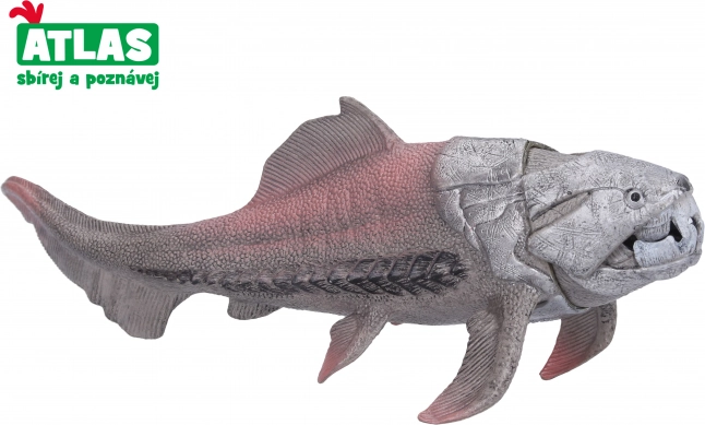 Dunkleosteus Figure 18 cm