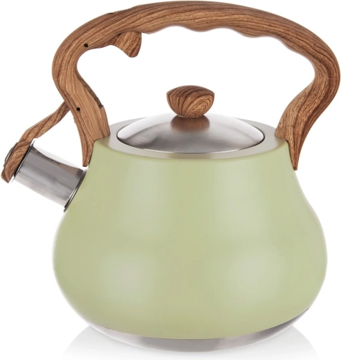 Pfeifender Edelstahl-Wasserkessel GREENISH 3 l