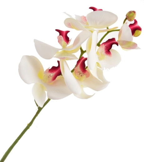 Artificial White Orchid 72 cm