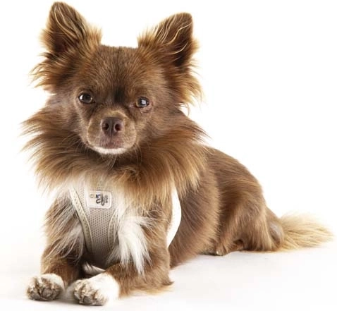 Ergonomic cut with no neck pressure