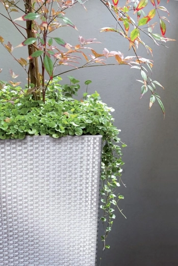 Texture rotin moderne pour intérieur et extérieur