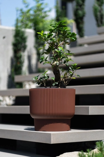 Insert amovible avec poignées