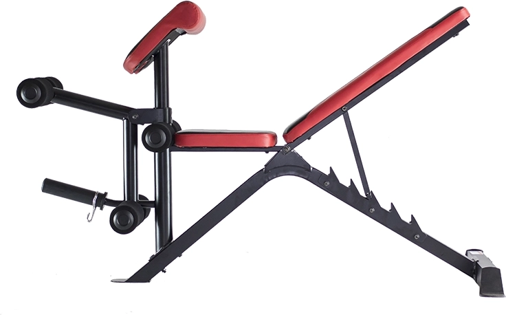 Réglage du dossier à 6 niveaux pour un ciblage musculaire précis