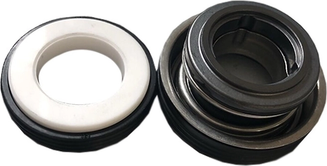 Mechanische Gleitringdichtung (Set) für ProStar 4 Pumpe (ab 2015)