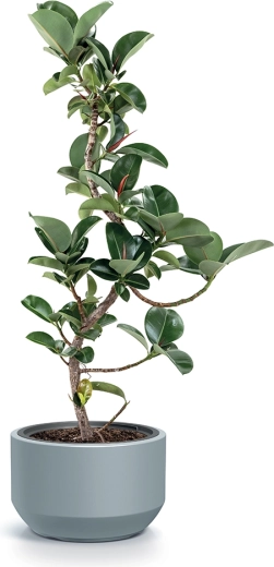 Matériau léger mais résistant