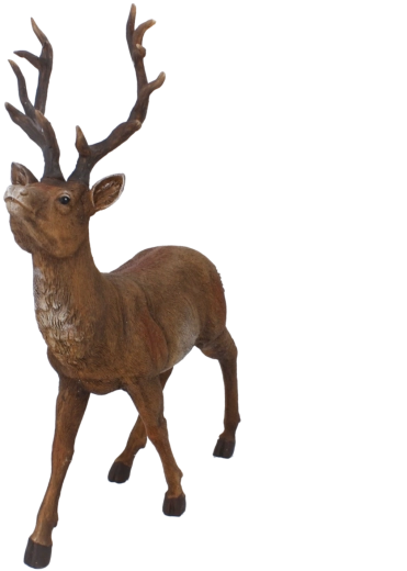 Dominant Christmas interior decoration