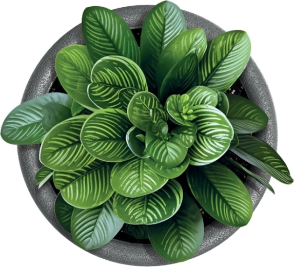 Universal for home and garden