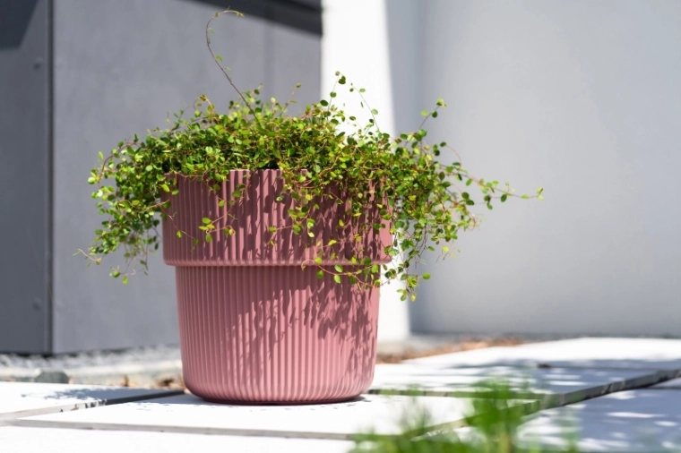 Modern geribd design voor elke ruimte