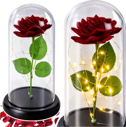 Romantische Rose unter einer Schutzkuppel