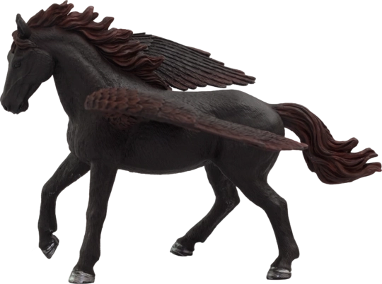 Mojo Pegasus Black