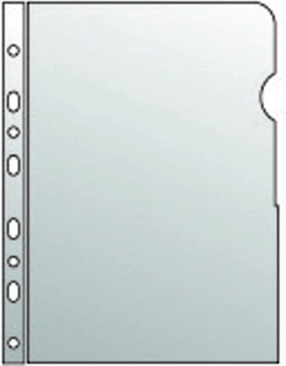 Pochette transparente pour documents A4 avec reliure européenne