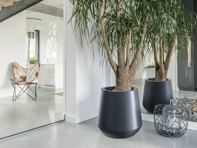 Design moderne pour intérieur et extérieur