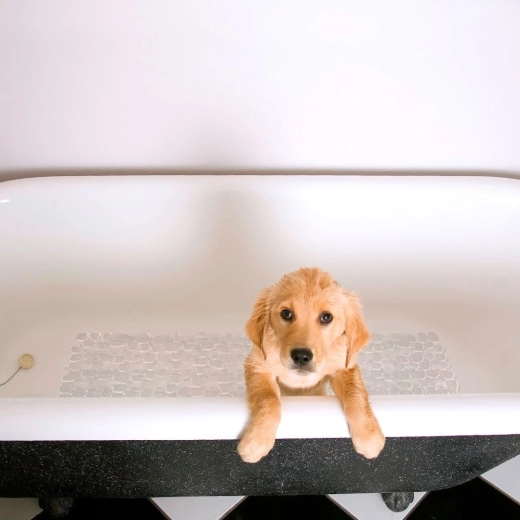 Komfort und Schutz für die Füße