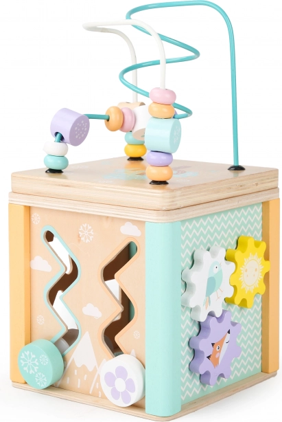 Ecotoys Wooden Educational Cube