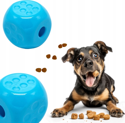 Spiel und Training in einem