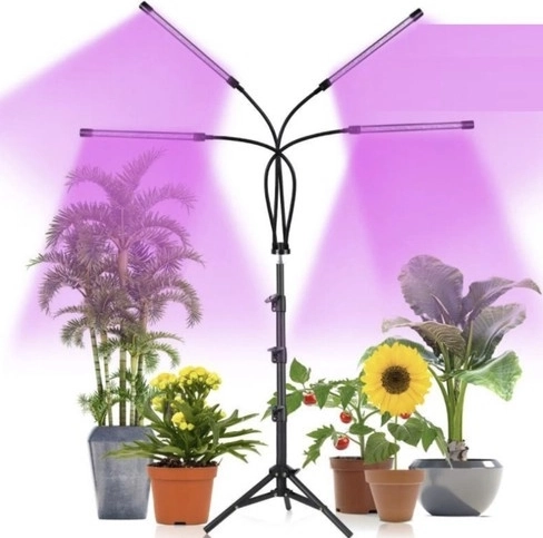 Rote und blaue LEDs zur Unterstützung der Photosynthese