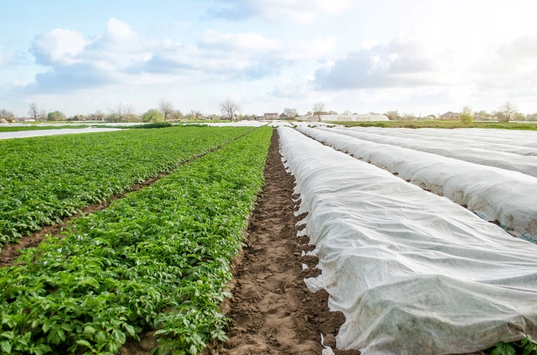 Houdt warmte vast en versnelt de start van het seizoen