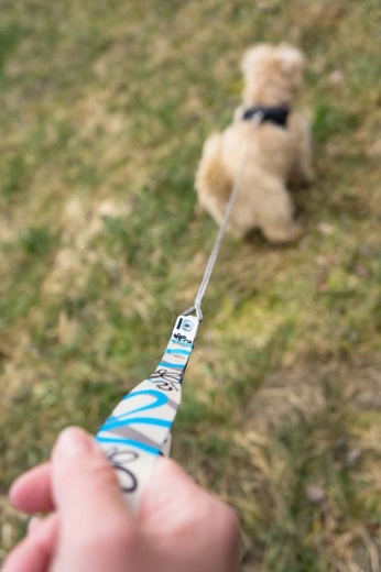 Durable stainless steel carabiner