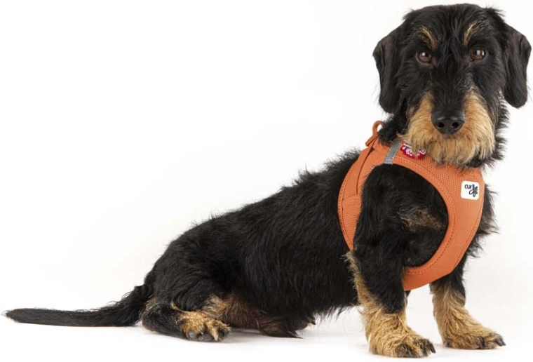 Ergonomics without neck pressure