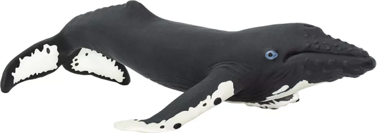 Safari Ltd. humpback whale - 1 piece