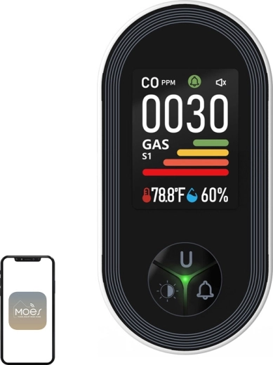 Moes carbon monoxide and combustible gas detector with color display (S02-CG)