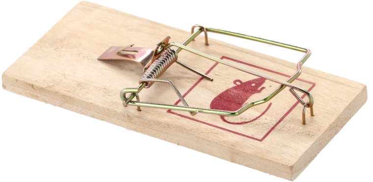 Base en bois résistante