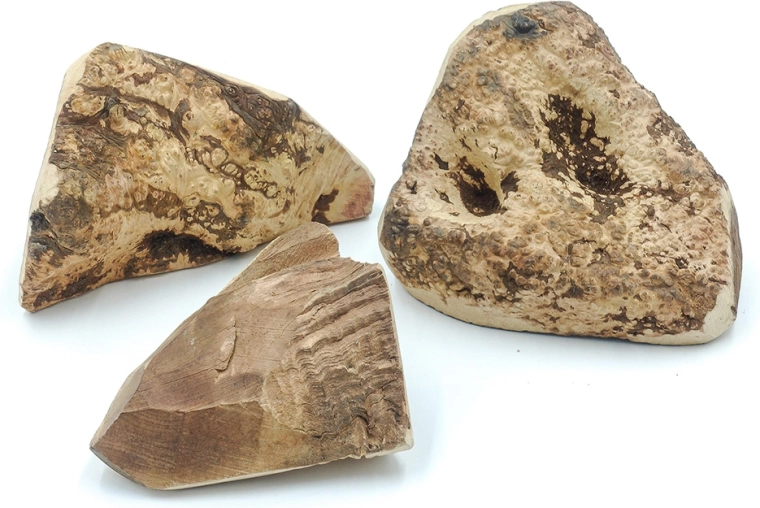 Ideal für vielfältige Bedürfnisse von Hunden