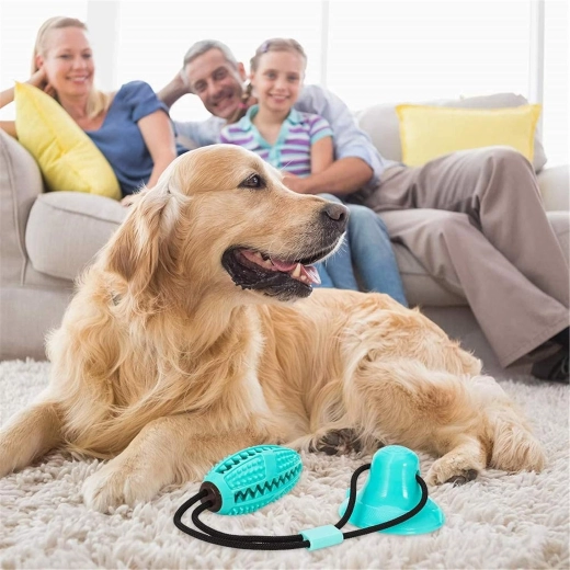 Jouet pour chien interactif avec ventouse et distributeur de friandises, anneau dentaire – turquoise