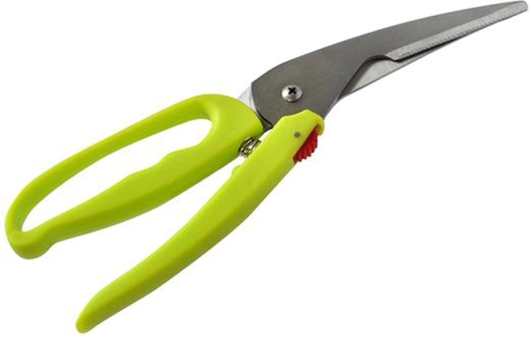 TORO gevogelteschaar van roestvrij staal 25 cm