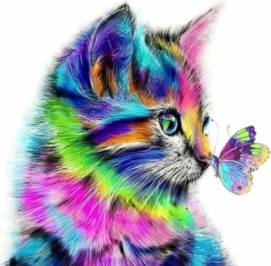 Schilderij om te schilderen op nummer op frame 40 × 50 cm kitten met vlindertje