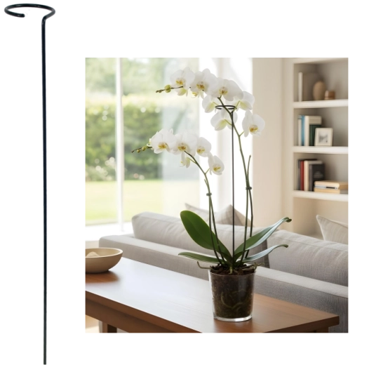 Eenvoudige plantensteun 35 cm