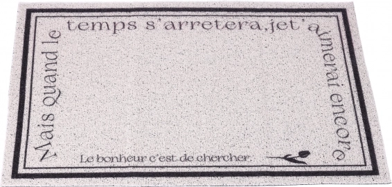 Tapijt, deurmat, antislip entreemat 60 x 90 cm type 1