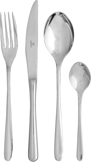Gerpol Venus set of 24 polished cutlery pieces