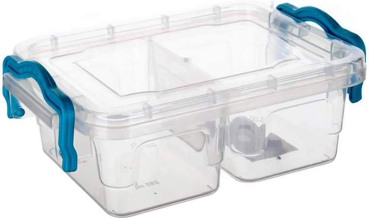 Gema verdeeldoos rechthoekig 2×250 ml met turkooise handgrepen