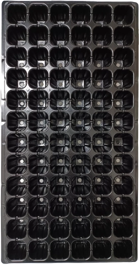 Seedling tray with 72 cells for starting plants